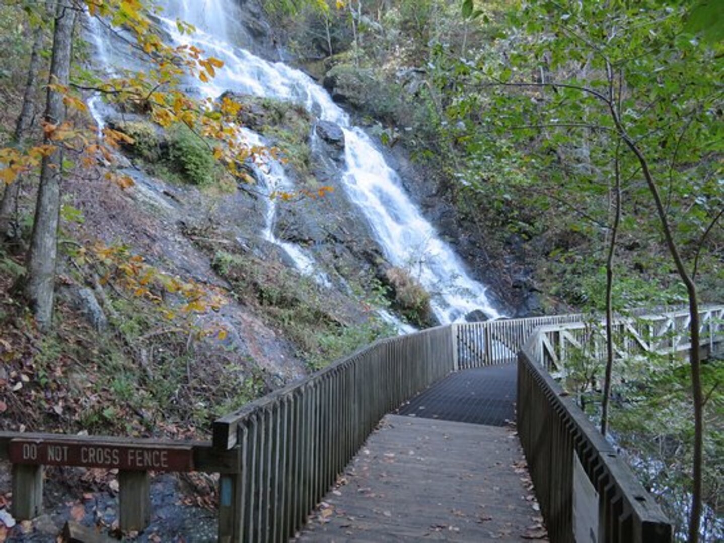 Dawson Falls Walks