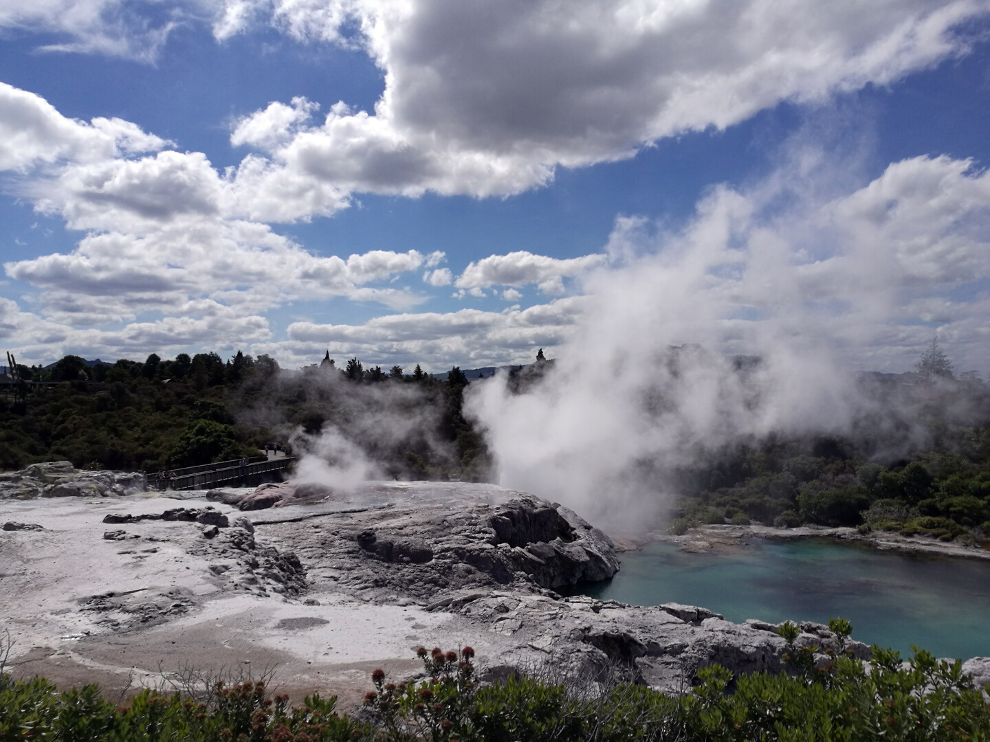 Pōhutu Geyser at Te Puia in Rotorua